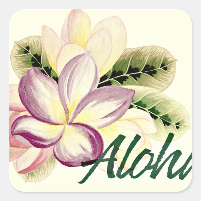 Adesivo Quadrado Aloha Plumeria (Frente)