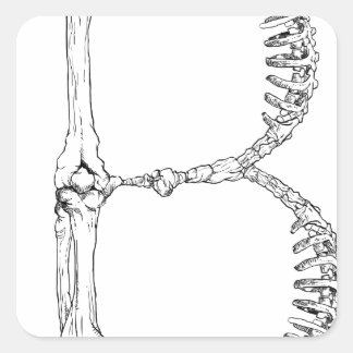 Adesivo Quadrado Alphabet Bone - Letra B