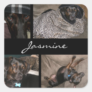 Adesivo Quadrado Amante customizável do cão do monograma da colag