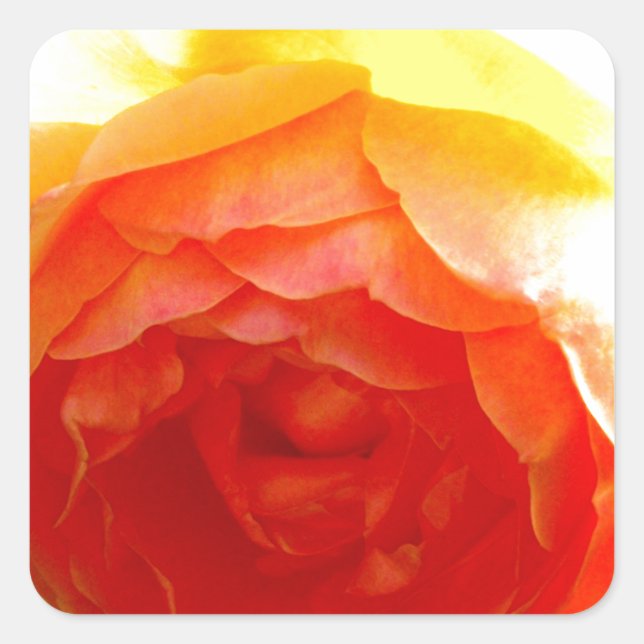 Adesivo Quadrado Amarelo Elegante Flor amarelo-floral rosa (Frente)