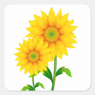 Adesivo Quadrado Amarelo Verde Floral Girassol Flor Verão