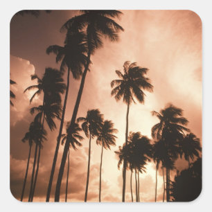 Adesivo Quadrado Ambergris Caye, Belize, América Central.2