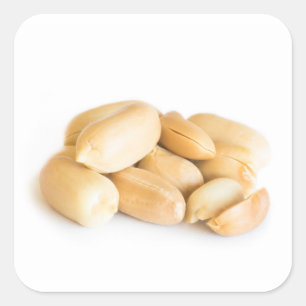 Adesivo Quadrado Amendoins