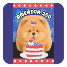 AMÉRICA 250  Chow Vermelho