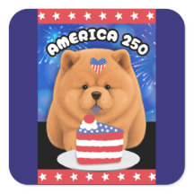 AMÉRICA 250  - SMOOTH Chow