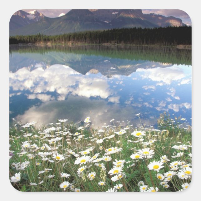 Adesivo Quadrado América do Norte, Canadá, Alberta, Banff Nacional  (Frente)