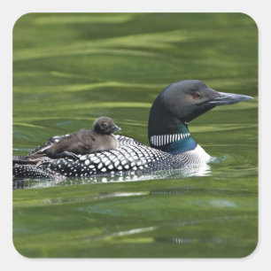 Adesivo Quadrado America do Norte, Canadá, Columbia Britânica, la