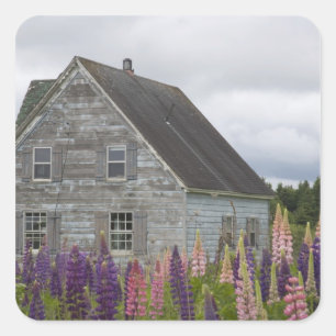 Adesivo Quadrado América do Norte, Canadá, Ilha Prince Edward