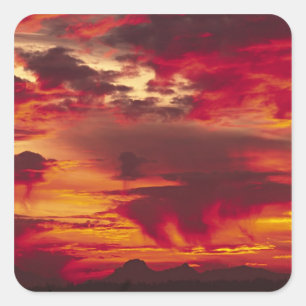 Adesivo Quadrado América do Norte, EUA, Washington, Seattle. Sol