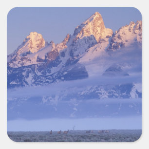 Adesivo Quadrado América do Norte, EUA, Wyoming, Grand Teton NP, 2