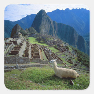Adesivo Quadrado Ámérica do Sul, Peru. Um lama descansa em um mon