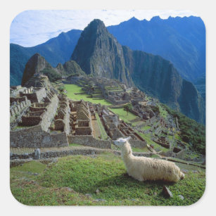 Adesivo Quadrado Ámérica do Sul, Peru. Um lama descansa em um monte