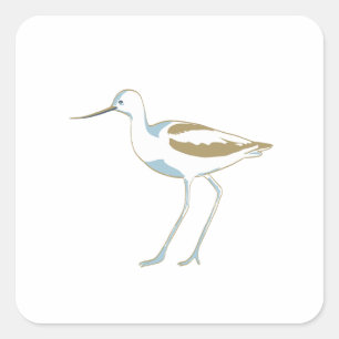 Adesivo Quadrado American Avocet Vista lateral Isolada Poster de Ar
