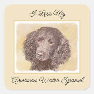 Adesivo Quadrado American Water Spaniel Painting - Arte Original de
