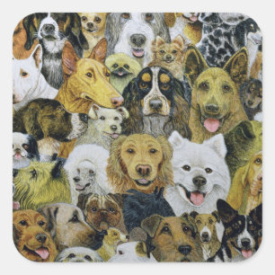 Adesivo Quadrado Amigos do cão