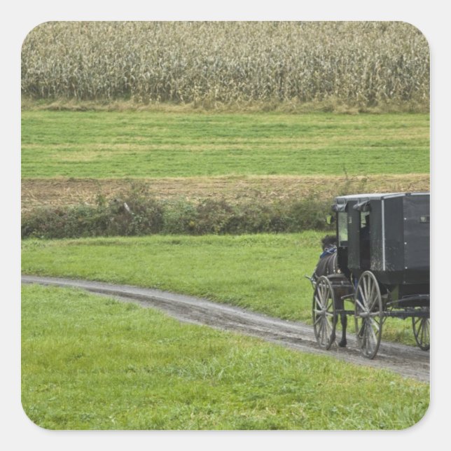 Adesivo Quadrado Amish buggy na pista de fazenda, NortheEast Ohio, (Frente)