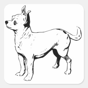 Adesivo Quadrado Amor Chihuahua Cão Cachorro Saudação