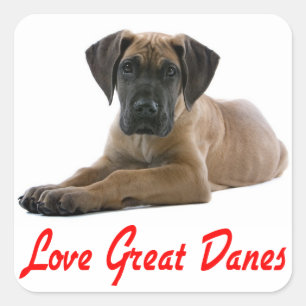 Adesivo Quadrado Amor, Grande Dane, Puppy Dog Sticker / Seal