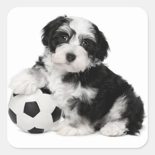 Adesivo Quadrado Amor Havanês Puppy Dog Selo