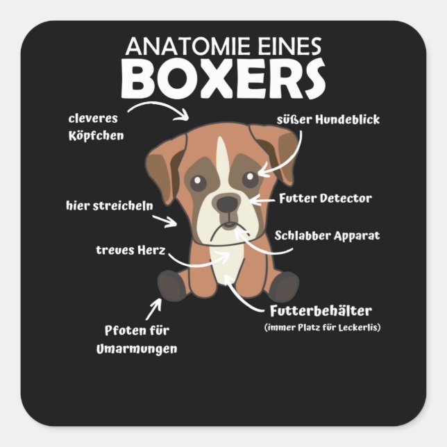 Adesivo Quadrado Anatomia De Um Cachorro Doce Boxer (Frente)