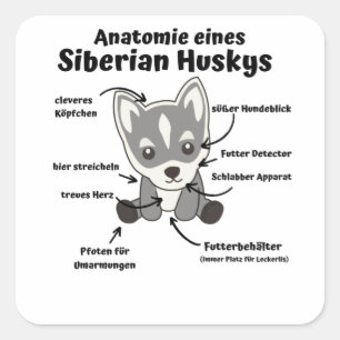Adesivo Quadrado Anatomia De Um Cachorro Iridério Husky Docinho