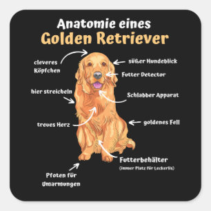 Adesivo Quadrado Anatomia De Um Retriever Ouro Cães Doces Engraçado