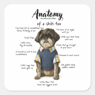 Adesivo Quadrado Anatomia de um Shihtzu Edição Amor Incondicional
