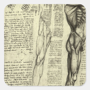 Adesivo Quadrado Anatomia Humana Masculina de Leonardo da Vinci Mús