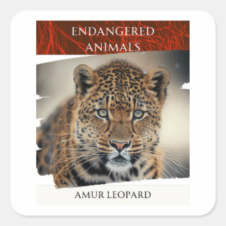 Adesivo Quadrado Animais Ameaçados - Leopardo Amur