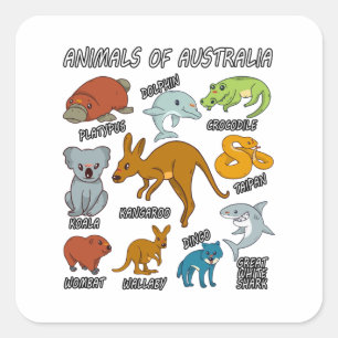 Adesivo Quadrado Animais Da Austrália