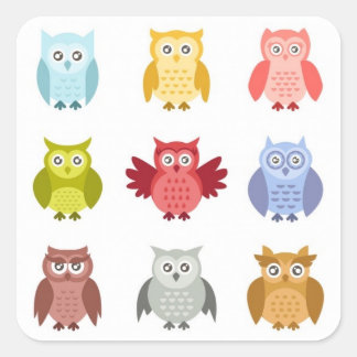 Adesivo Quadrado Animais da Floresta Corujas em Fila