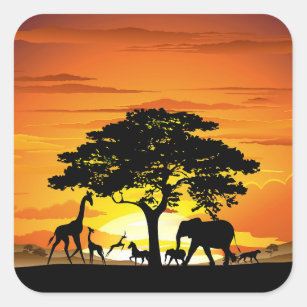 Adesivo Quadrado Animais Selvagens no Sunset da savana africana