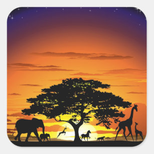 Adesivo Quadrado Animais Selvagens no Sunset da savana africana