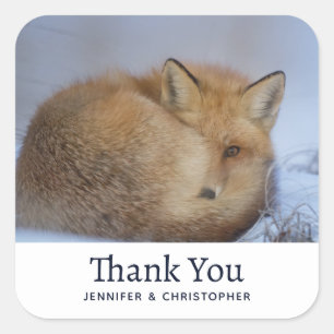 Adesivo Quadrado Aniversário da Fox de inverno Enrolada