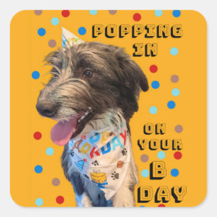 Adesivo Quadrado Aniversário Pop No Puppy Sticker
