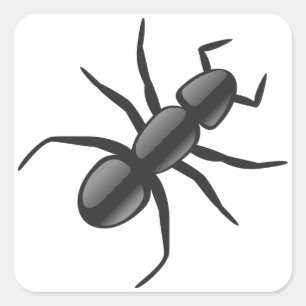 Adesivo Quadrado Ant