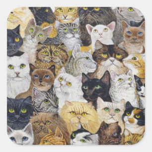 Adesivo Quadrado Apenas a suiça do gato