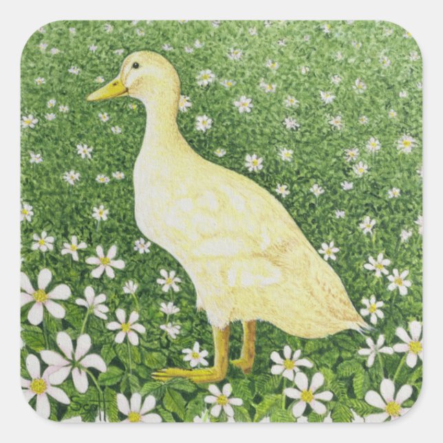 Adesivo Quadrado Apenas Olhando (Frente)