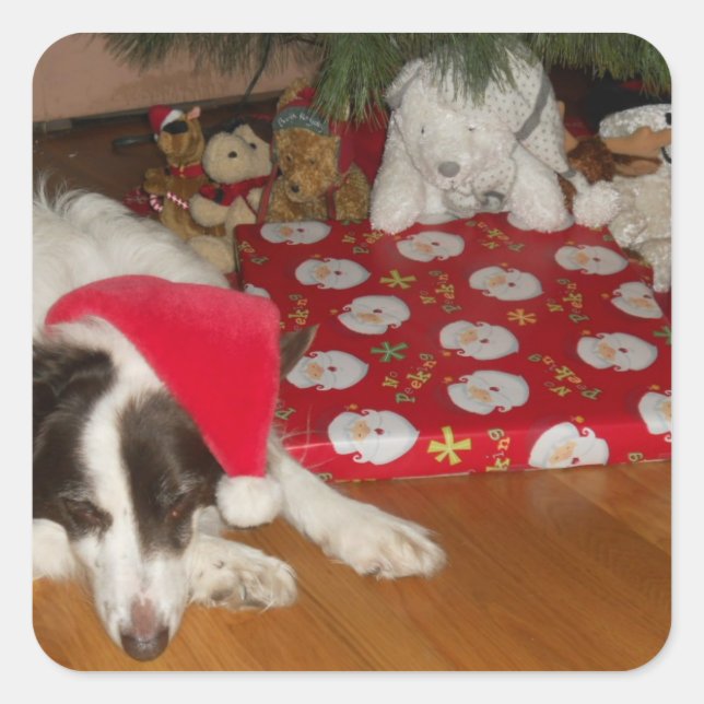 Adesivo Quadrado Apresentações de garantia (Frente)