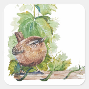Adesivo Quadrado Aquarela Casa de Vinho Folhas de Parreira Pássaro
