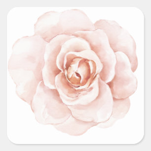 Adesivo Quadrado Aquarela Rosa Bege Elegante Floral Romântico