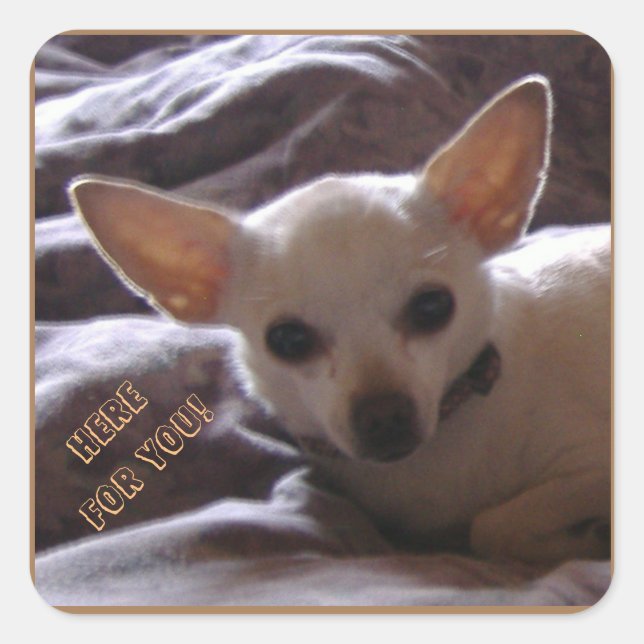 Adesivo Quadrado Aqui, Para Vocês, Stickers (Frente)