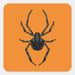 Adesivo Quadrado Aranha Velha Comum