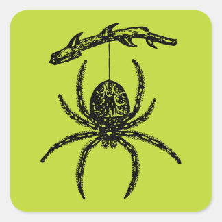 Adesivo Quadrado Aranha Verde Venenosa