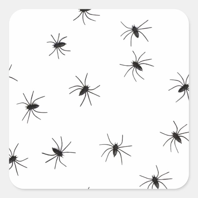 Adesivo Quadrado Aranhas Crawly assustadoras (Frente)