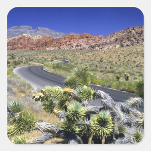 Adesivo Quadrado Área de Conservação Nacional Red Rock Canyon, Las