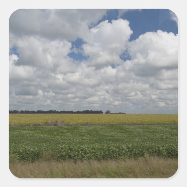 Adesivo Quadrado Argentina, Buenos Aires, San Antonio de Areco. (Frente)