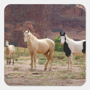 Adesivo Quadrado Arizona, Reserva Indígena Navajo, Chinle,