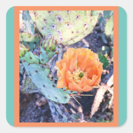 Adesivo Quadrado Arizonas de cactus/adesivos