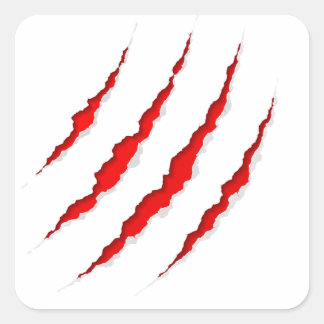 Adesivo Quadrado Arranhão-Garras - Animal Misterioso